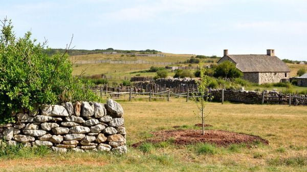Top conseils pour réussir votre investissement en terrain viabilisé dans les Côtes-d'Armor